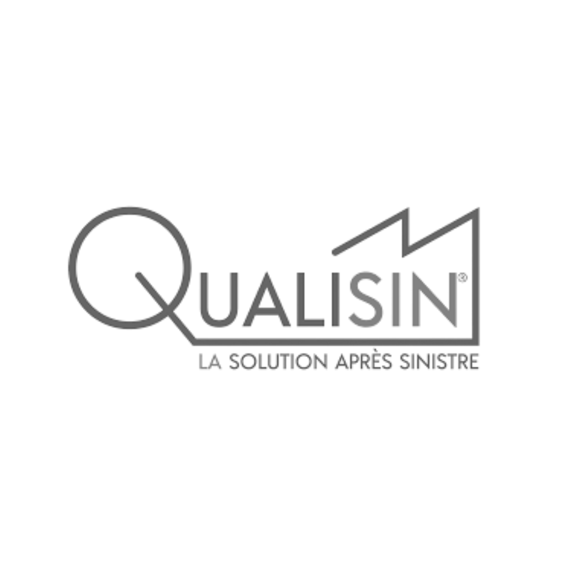 Logo Qualisin